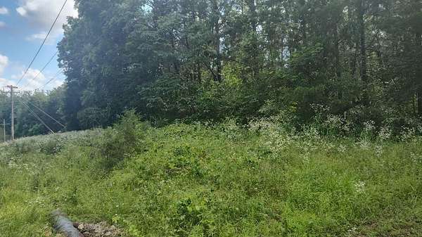 0.34 Acres of Residential Land for Sale in Shell Knob, Missouri