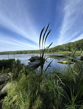 1.33 Acres of Residential Land for Sale in Clifton Township, Pennsylvania