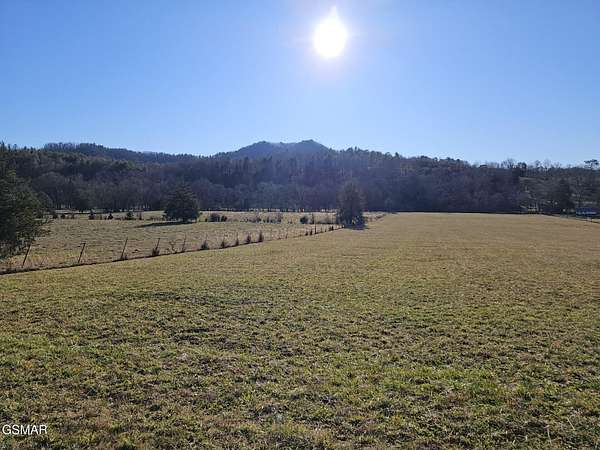 12.6 Acres of Land for Sale in Del Rio, Tennessee