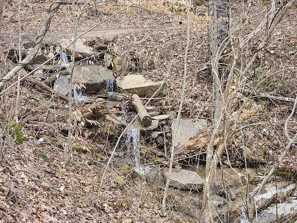 7.5 Acres of Residential Land for Sale in Alderson, West Virginia