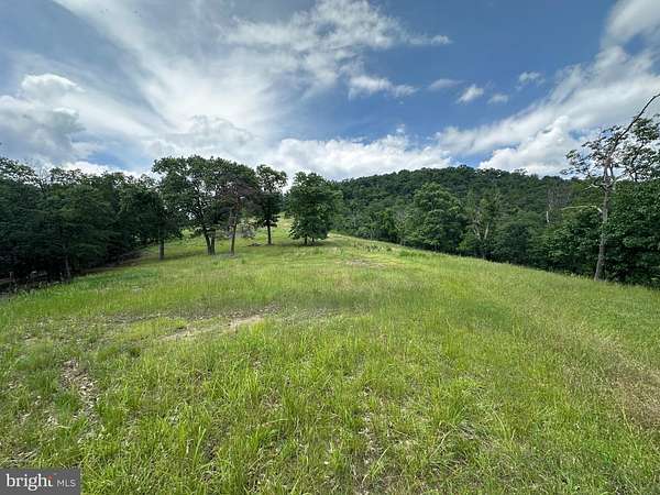 127 Acres of Recreational Land for Sale in Purgitsville, West Virginia