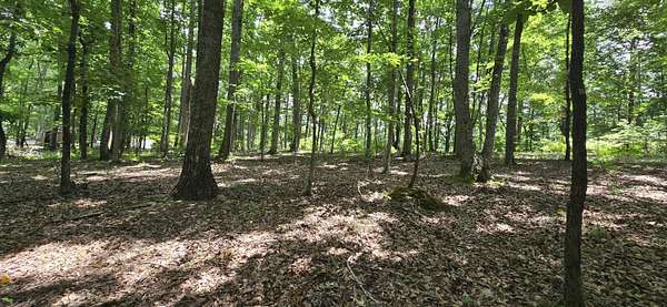 2.4 Acres of Land for Sale in Rising Fawn, Georgia