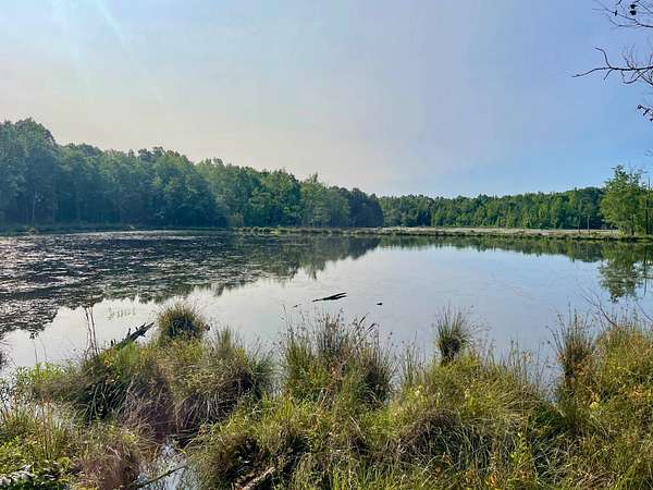 250 Acres of Recreational Land for Sale in Vaiden, Mississippi