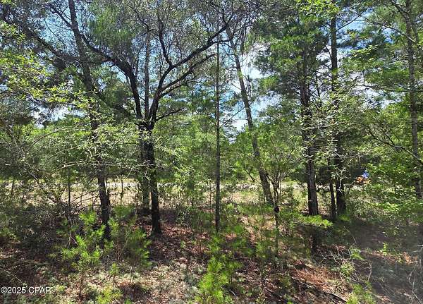 0.36 Acres of Residential Land for Sale in Chipley, Florida