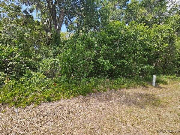 0.29 Acres of Residential Land for Sale in Hernando, Florida