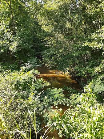 19.5 Acres of Recreational Land for Sale in Hillsboro, Georgia