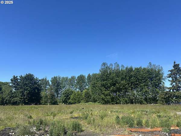 2 Acres of Residential Land for Sale in Clatskanie, Oregon