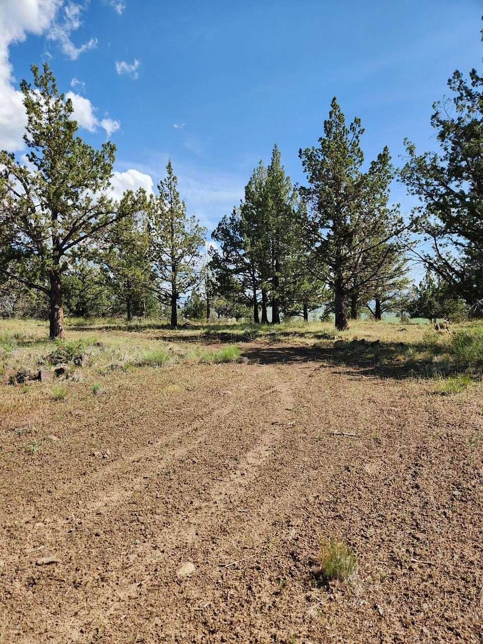 1.47 Acres of Residential Land for Sale in Alturas, California
