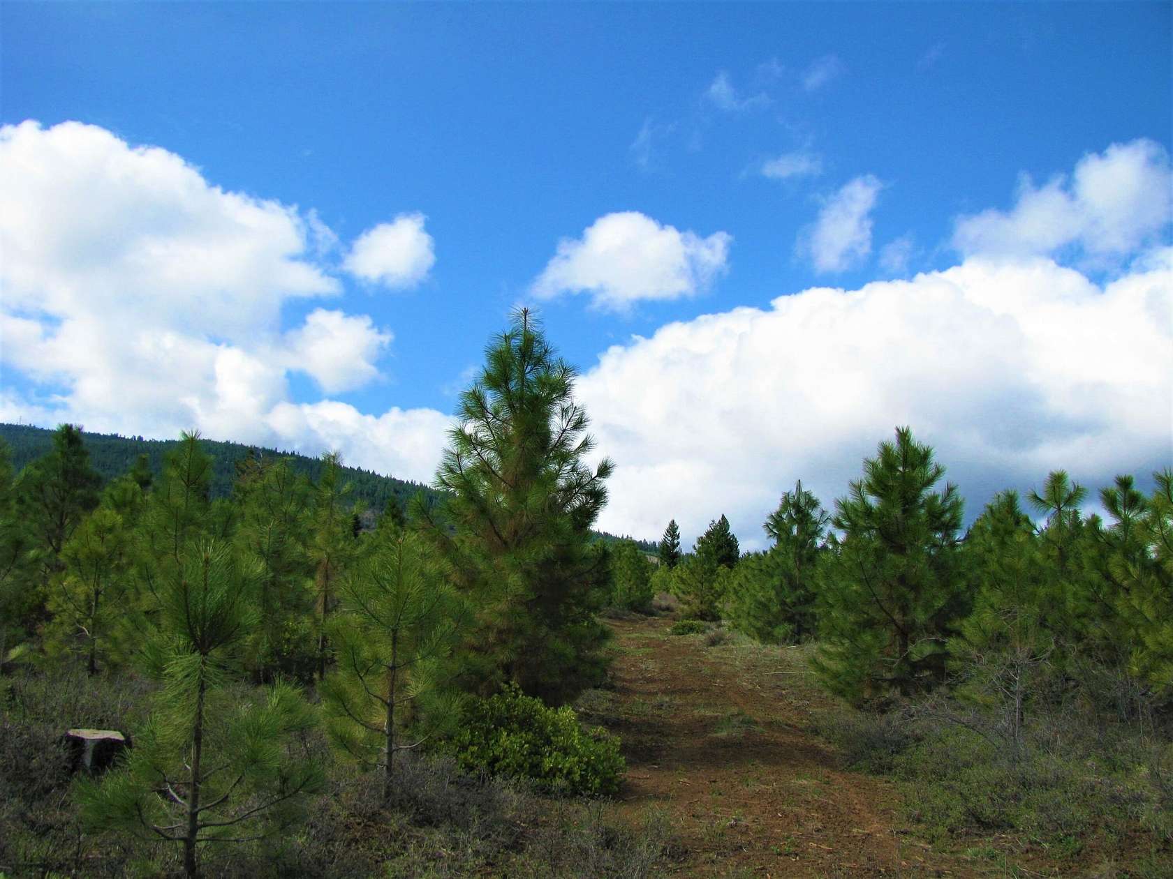 120 Acres of Recreational Land for Sale in Klamath Falls, Oregon