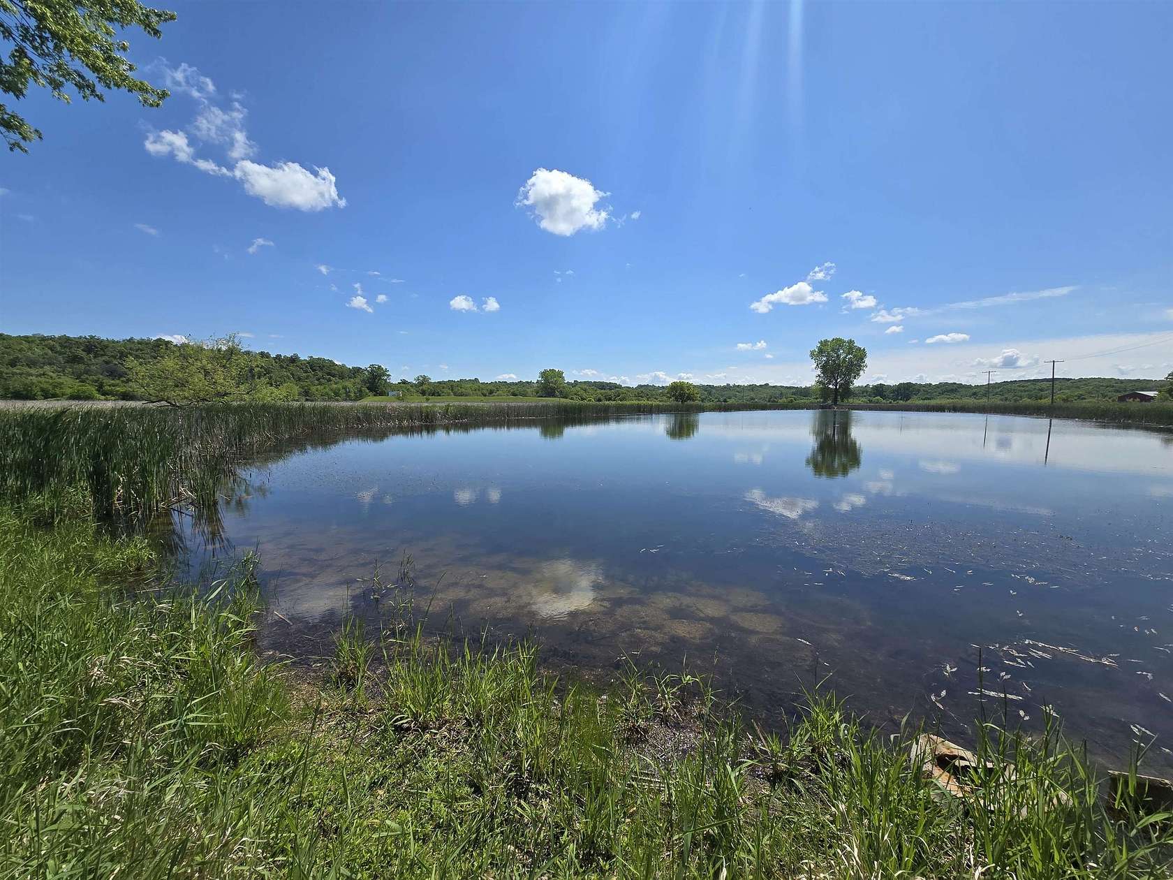 68.5 Acres of Recreational Land & Farm for Sale in Hollandale, Wisconsin
