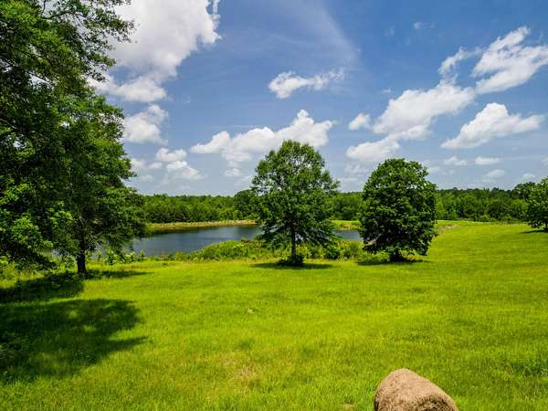 66 Acres of Land for Sale in Waynesboro, Mississippi