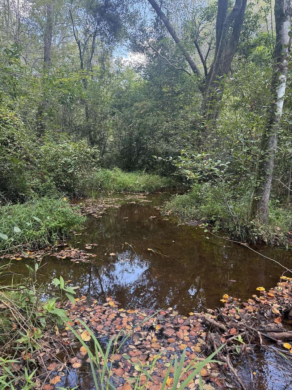 13.8 Acres of Land for Sale in Aiken, South Carolina