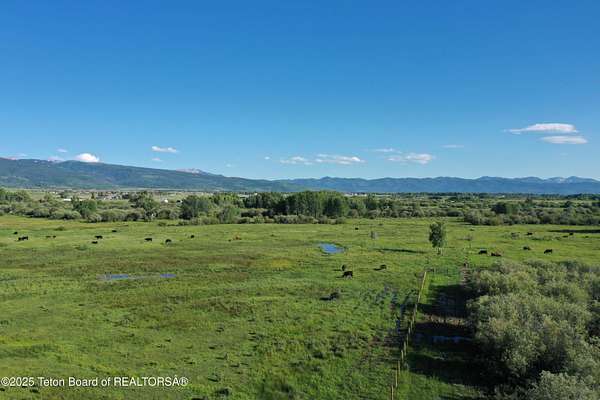 40.4 Acres of Land for Sale in Driggs, Idaho