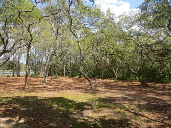 4.19 Acres of Residential Land for Sale in Silver Springs, Florida