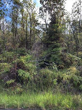 0.19 Acres of Residential Land for Sale in Volcano, Hawaii