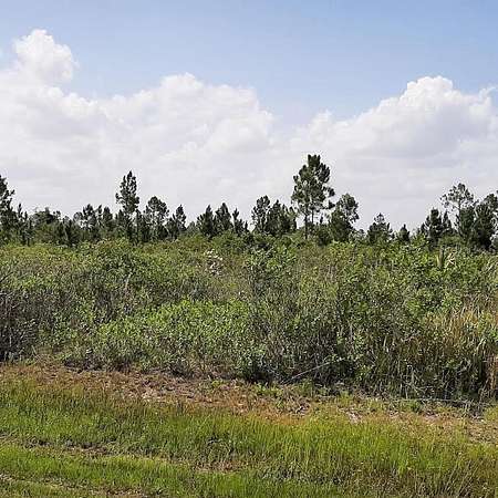 0.5 Acres of Residential Land for Sale in Indian Lake Estates, Florida