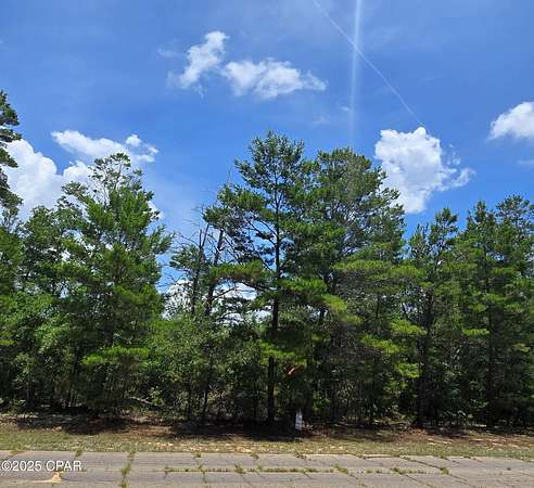 0.36 Acres of Residential Land for Sale in Chipley, Florida