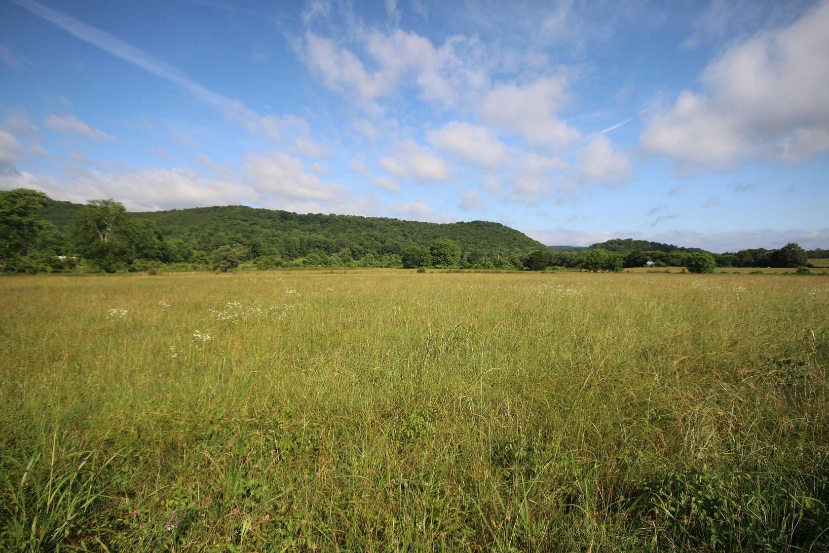 110 Acres of Land for Sale in Tellico Plains, Tennessee