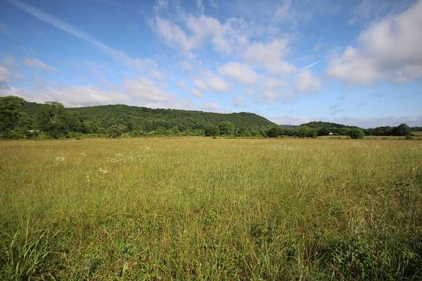 110 Acres of Land for Sale in Tellico Plains, Tennessee