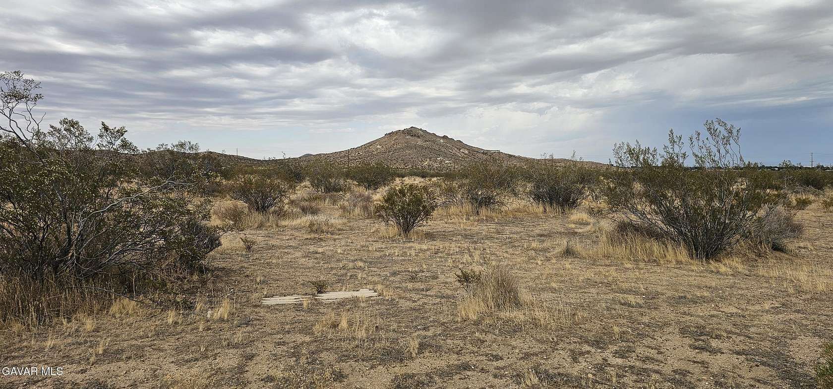 Land for Sale in Rosamond, California