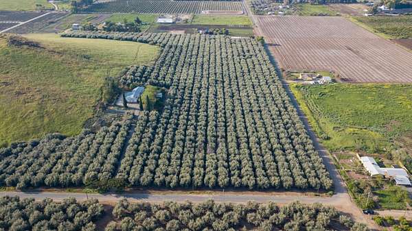 37.6 Acres of Agricultural Land for Sale in Lindsay, California