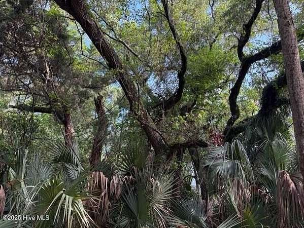 0.23 Acres of Residential Land for Sale in Bald Head Island, North Carolina