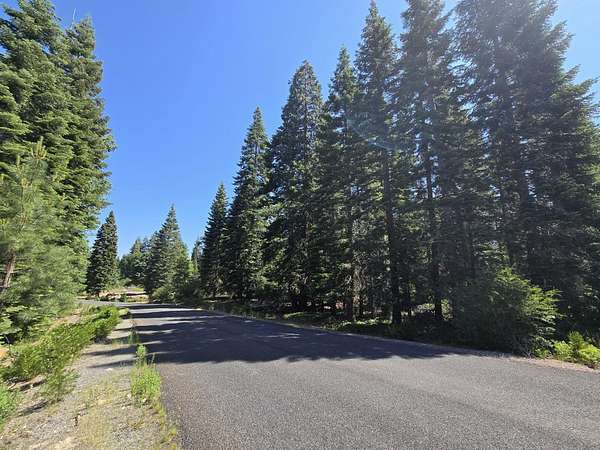 2.5 Acres of Residential Land for Sale in Mount Shasta, California