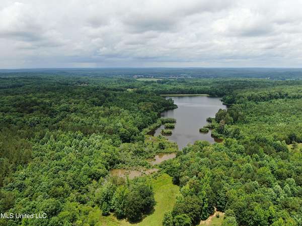 125 Acres of Land for Sale in Hickory Flat, Mississippi