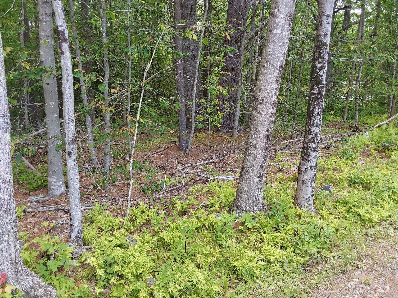 2 Acres of Residential Land for Sale in Jefferson, Maine