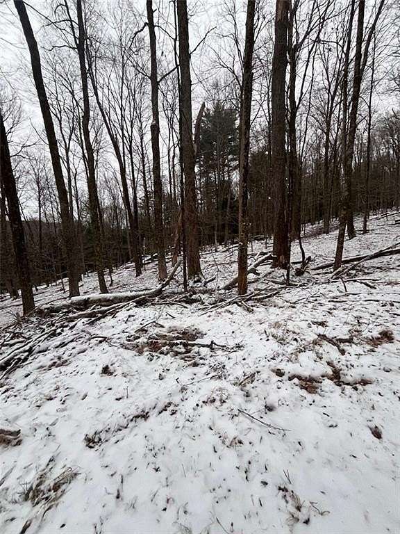 0.35 Acres of Residential Land for Sale in Bethel, New York