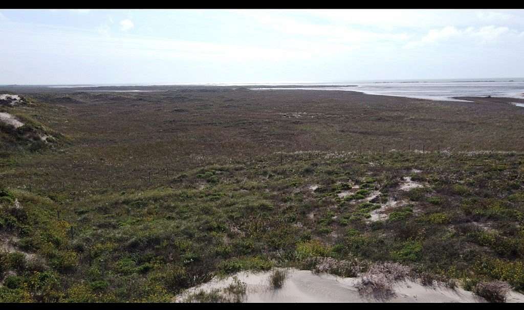 Residential Land for Sale in South Padre Island, Texas