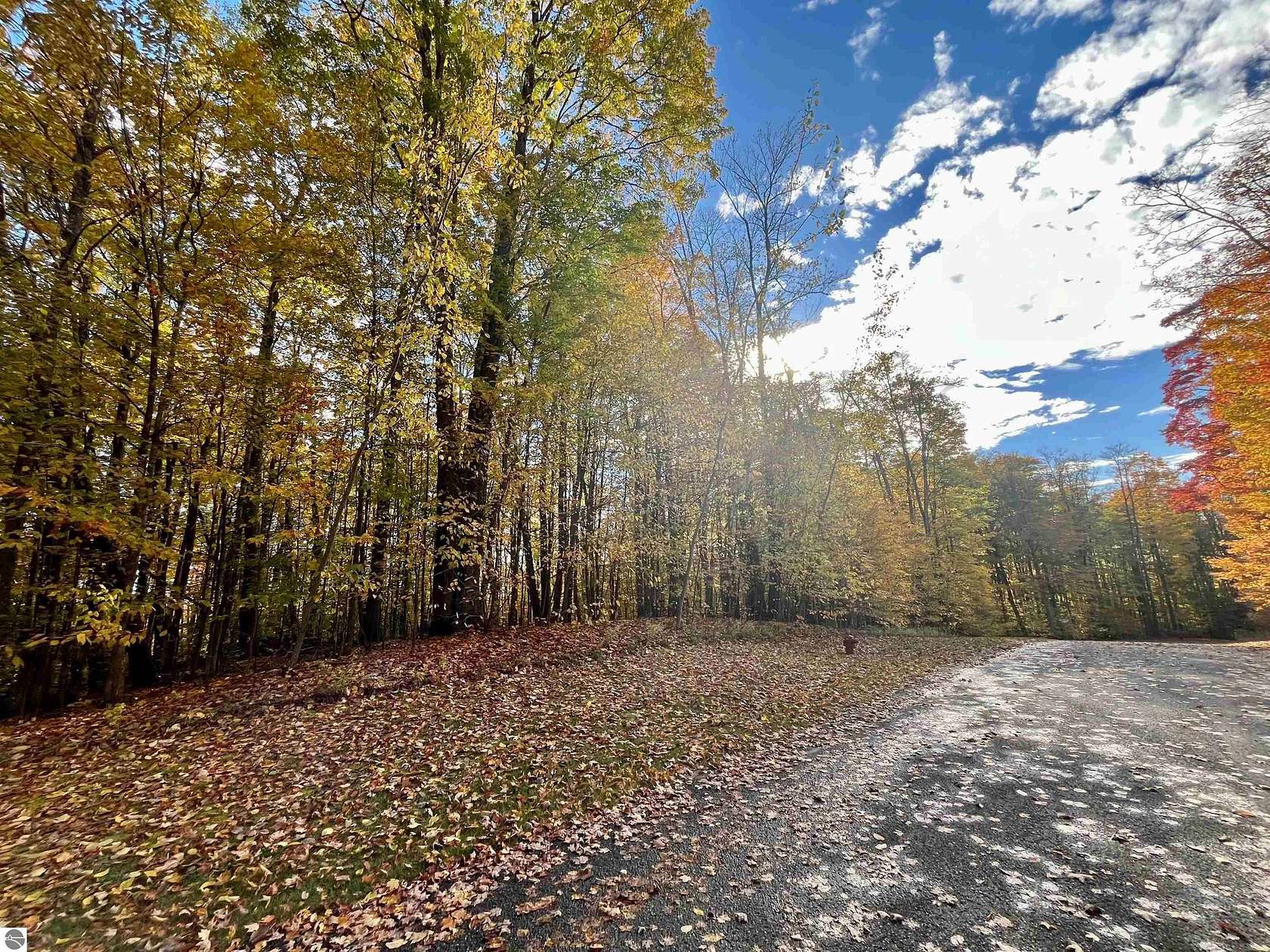 0.76 Acres of Residential Land for Sale in Bellaire, Michigan