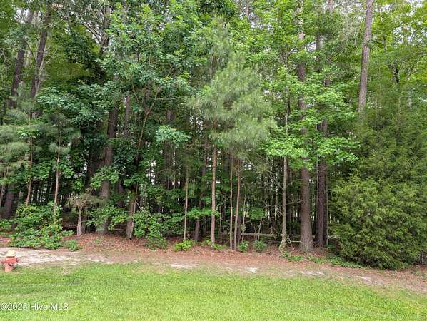 0.59 Acres of Residential Land for Sale in Hertford, North Carolina