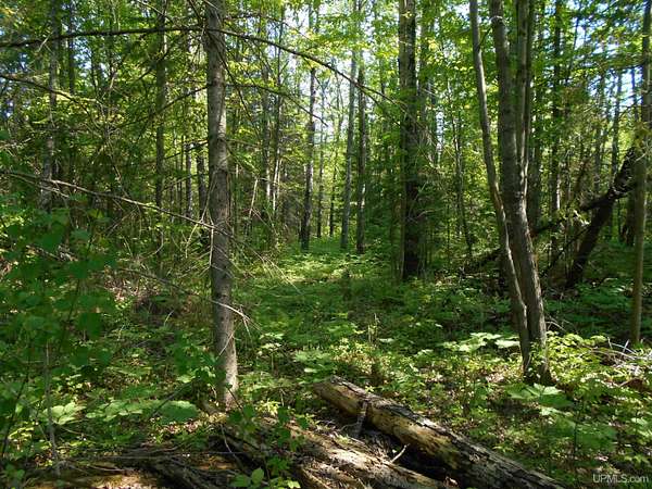 131 Acres of Recreational Land for Sale in Rock, Michigan