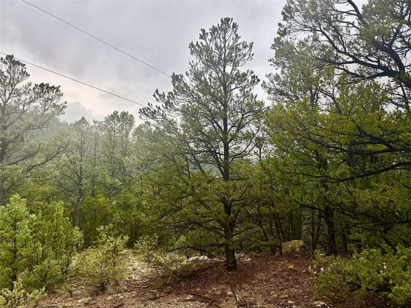 1 Acre of Land for Sale in Pecos, New Mexico