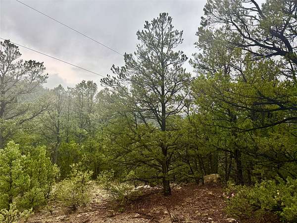 1 Acre of Land for Sale in Pecos, New Mexico