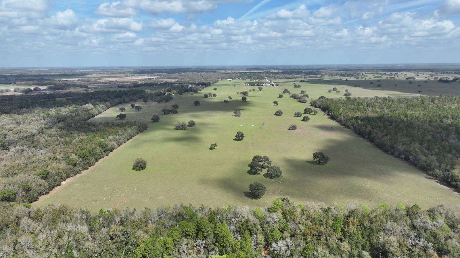 357 Acres of Land for Sale in Dunnellon, Florida