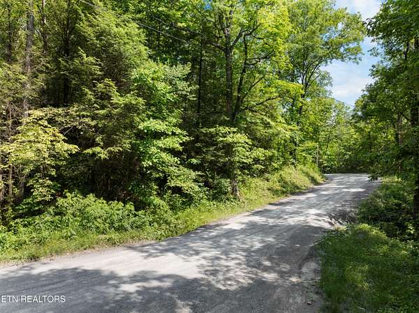 61 Acres of Recreational Land for Sale in Pioneer, Tennessee