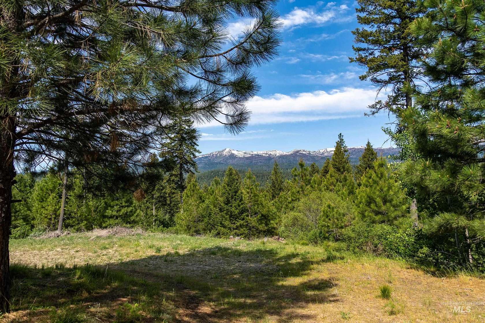 6.56 Acres of Residential Land for Sale in Cascade, Idaho