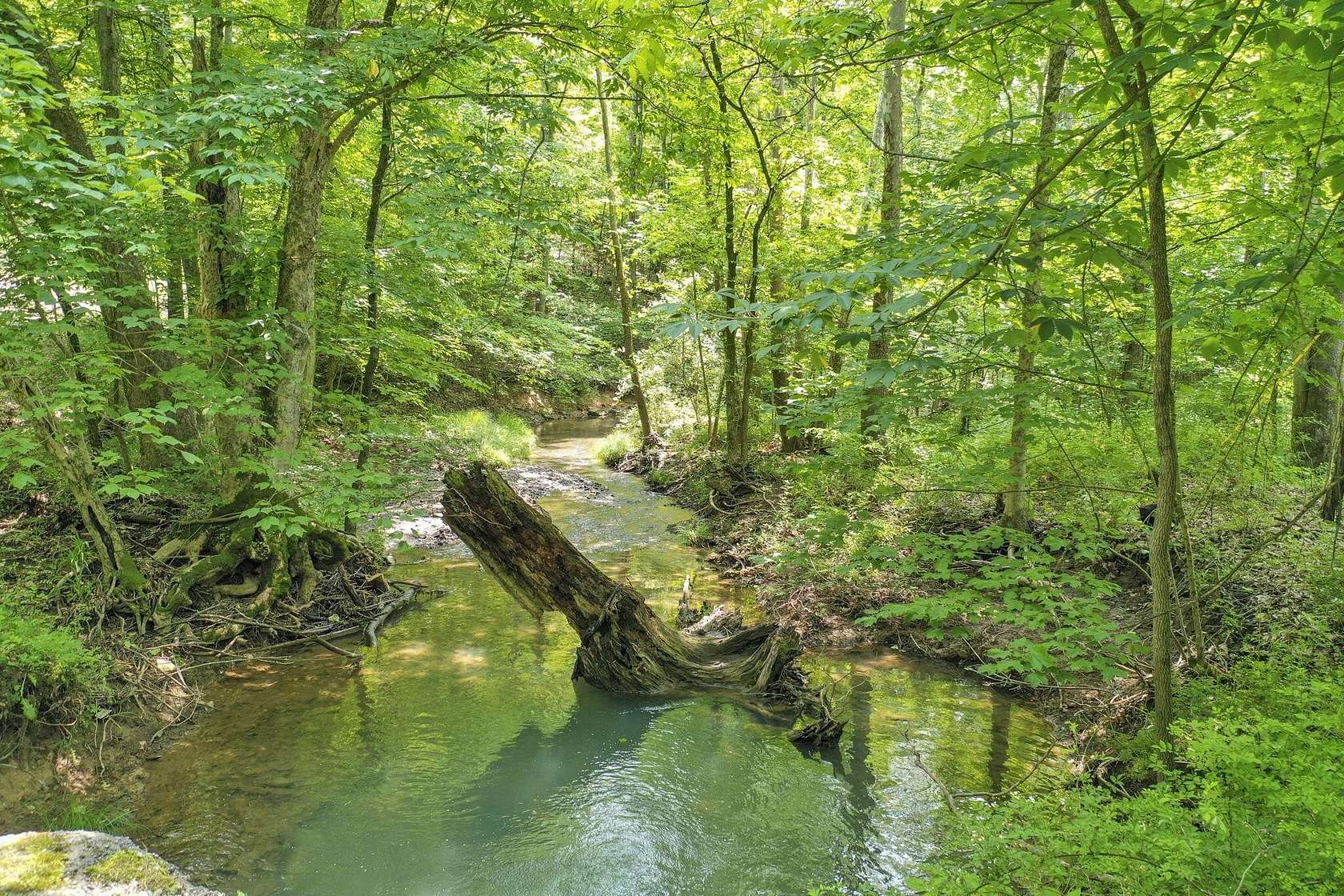 70.6 Acres of Recreational Land for Sale in New Plymouth, Ohio