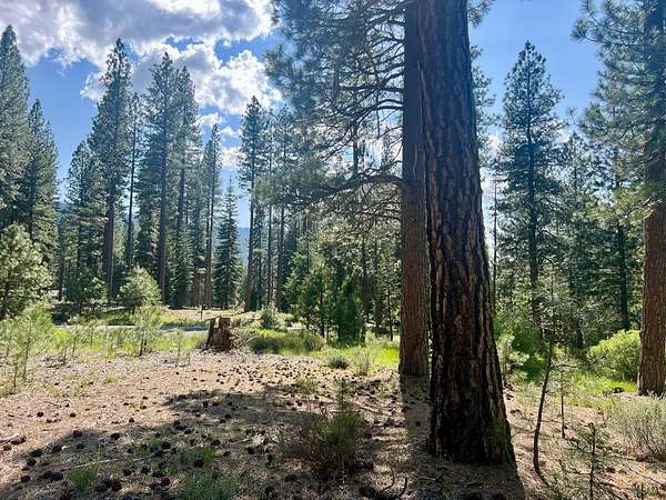 10.2 Acres of Land for Sale in Clio, California