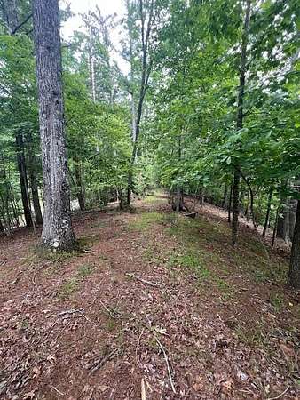 0.88 Acres of Land for Sale in Mineral Bluff, Georgia