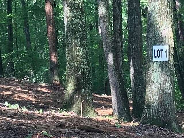 0.55 Acres of Residential Land for Sale in Spring City, Tennessee