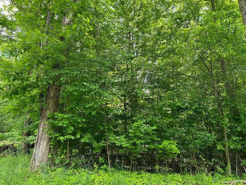 Land for Sale in Jamestown, Pennsylvania