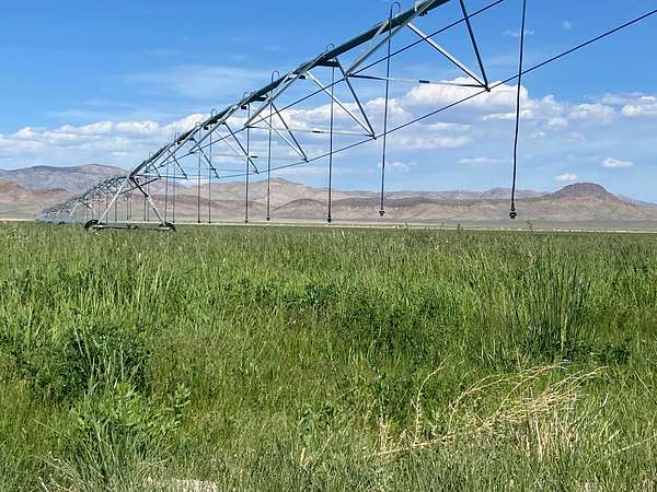 520 Acres of Improved Agricultural Land for Sale in Duckwater, Nevada