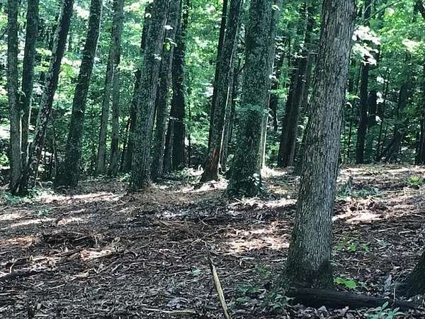 1 Acre of Residential Land for Sale in Spring City, Tennessee