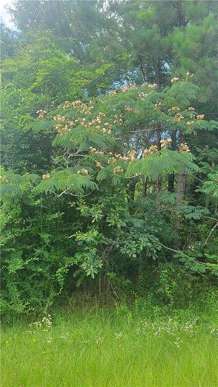 5 Acres of Residential Land for Sale in Tuskegee, Alabama