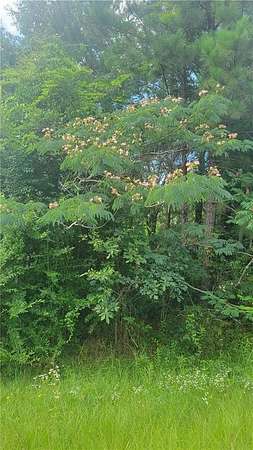 5 Acres of Residential Land for Sale in Tuskegee, Alabama