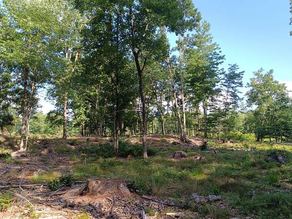 64 Acres of Land for Sale in Shapleigh, Maine