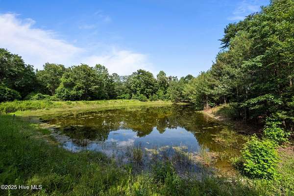 29.2 Acres of Recreational Land for Sale in Richlands, North Carolina